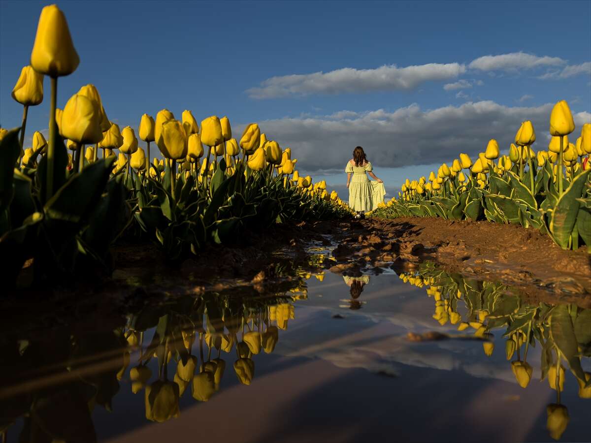 Konya’dan günübirlik kaçanlar çok! Ünlü lale cenneti ziyaretçilerini bekliyor 6